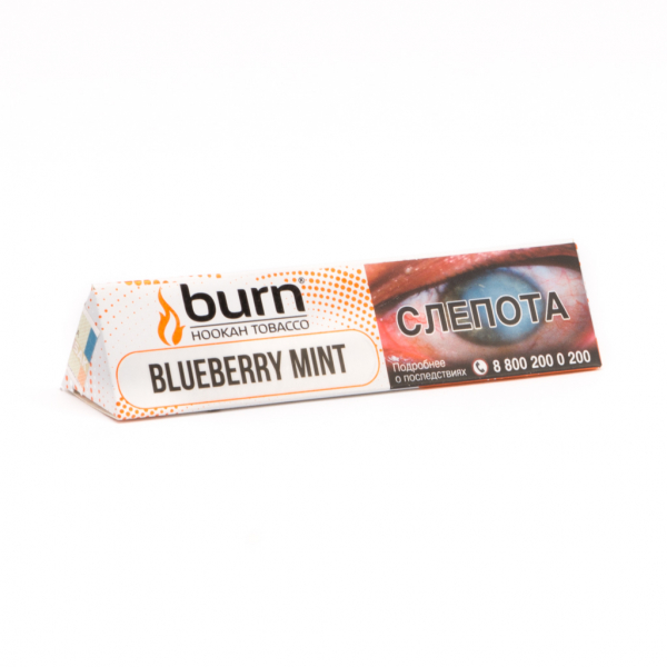 Табак для кальяна - Burn - Blueberry Mint ( с ароматом черника с мятой ) - 25 г